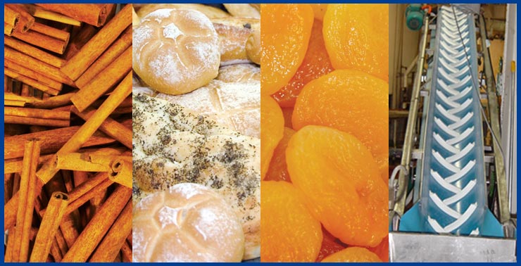 Natural Food Sterilisation Technologies